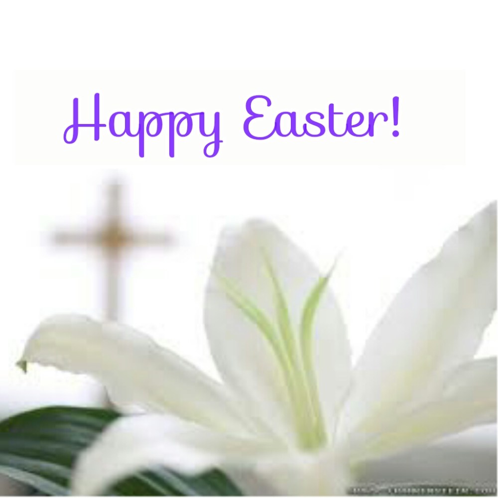 PhotoGrid_1428245474367